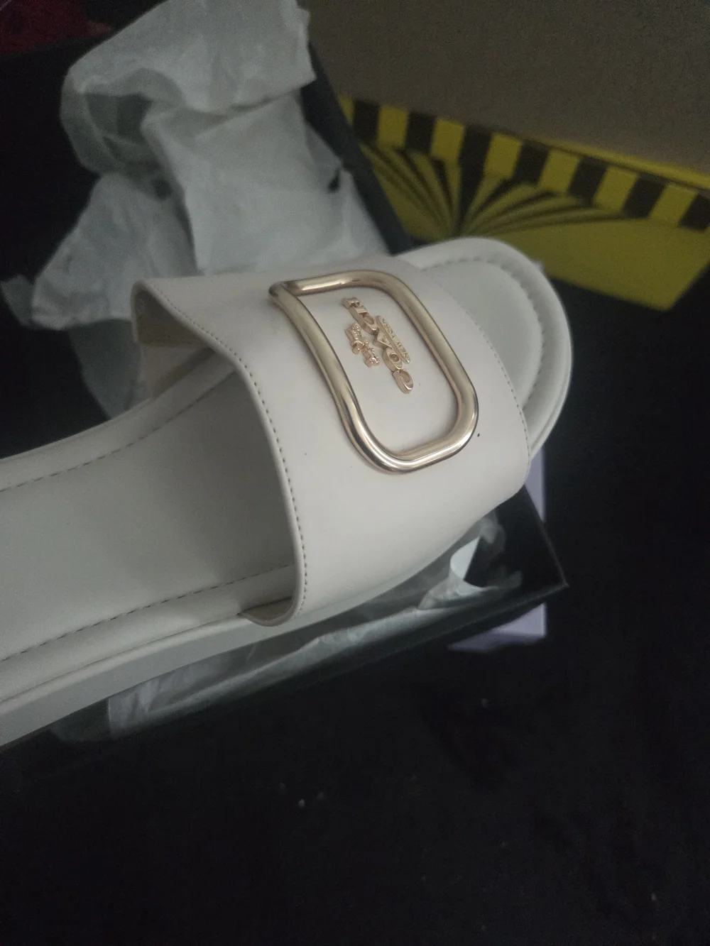 Coach Pale Pink Platform Slide Sandals with Gold Buckle